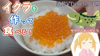 いくら醤油漬けを作ろう！浮かれる道民VTuber大谷さん