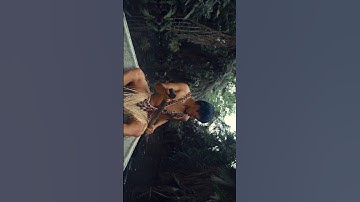 Davinci Resolve 18 | Color Grade | Color Correction | #colorgrading #davinciresolve #cinematic