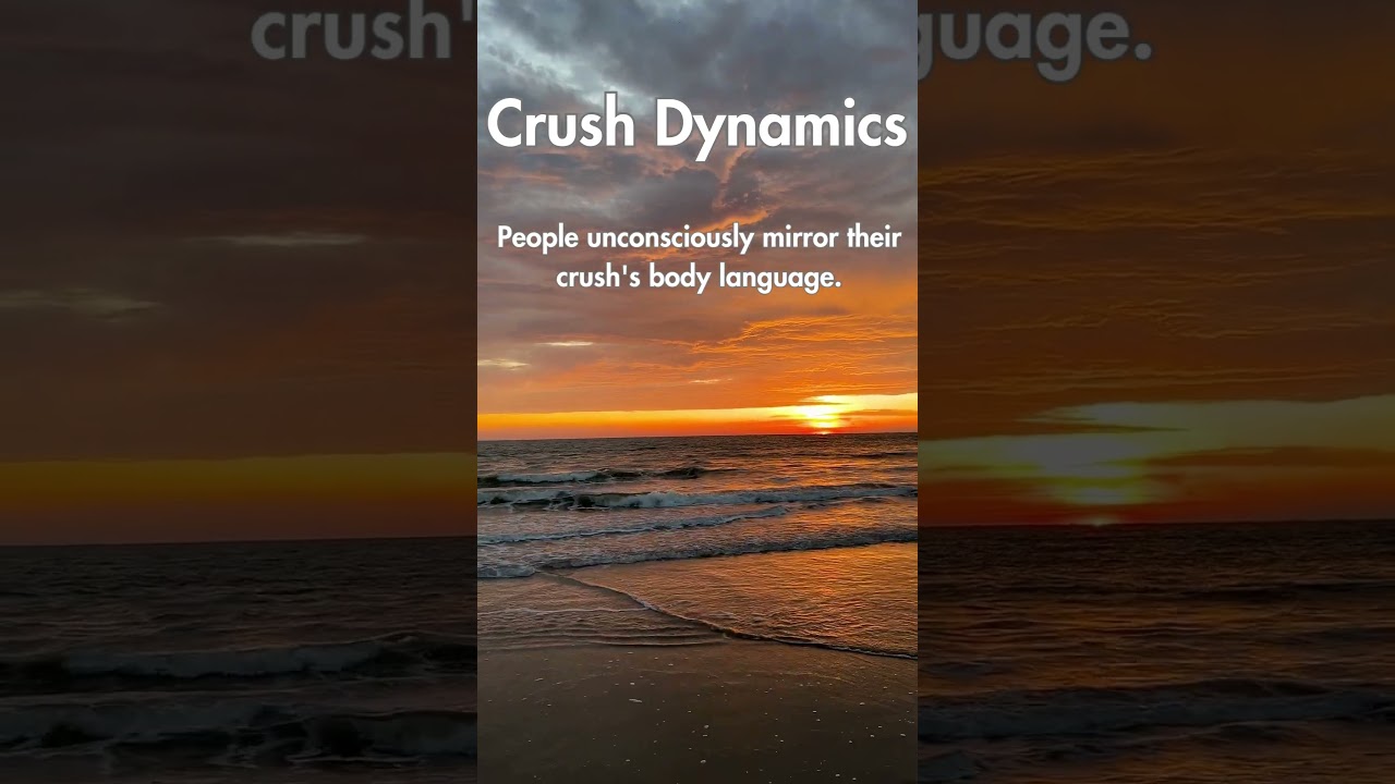 Crush Dynamics
