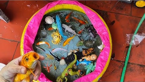 Vui học cùng bé-Bể bơi nước bẩn giải cứu các con cá cua rùa ếch và đồ chơi khỏi nguy hiểm