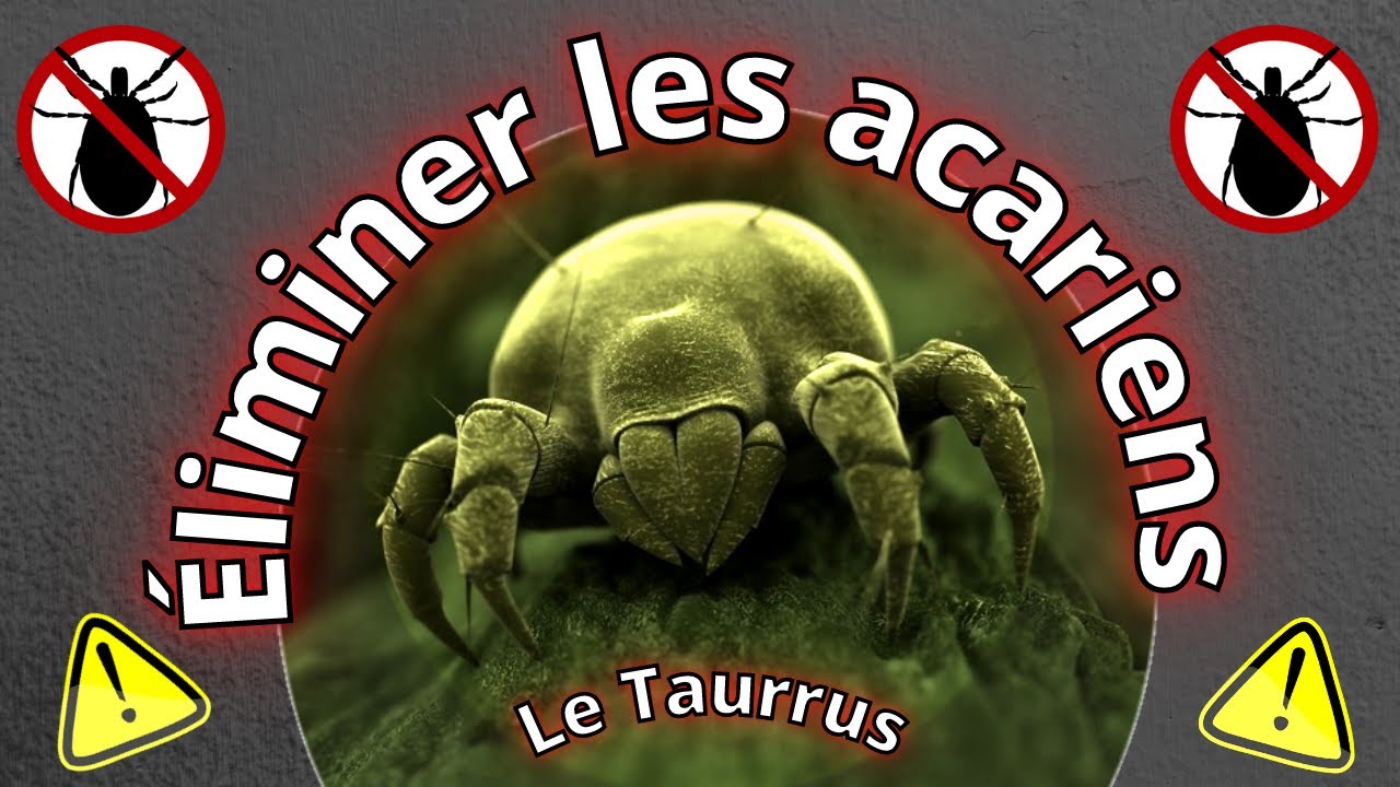 Comment se débarrasser d'acariens nuisibles ? Le Taurrus #6 Le traitement des parasites.