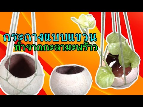 กระถางแบบแขวน DIYจากกะลามะพร้าวอ่อน by unclenui