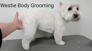 Westie Body Grooming Summer Clip