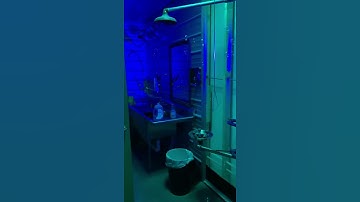 Arduino Bubble Toilet Build