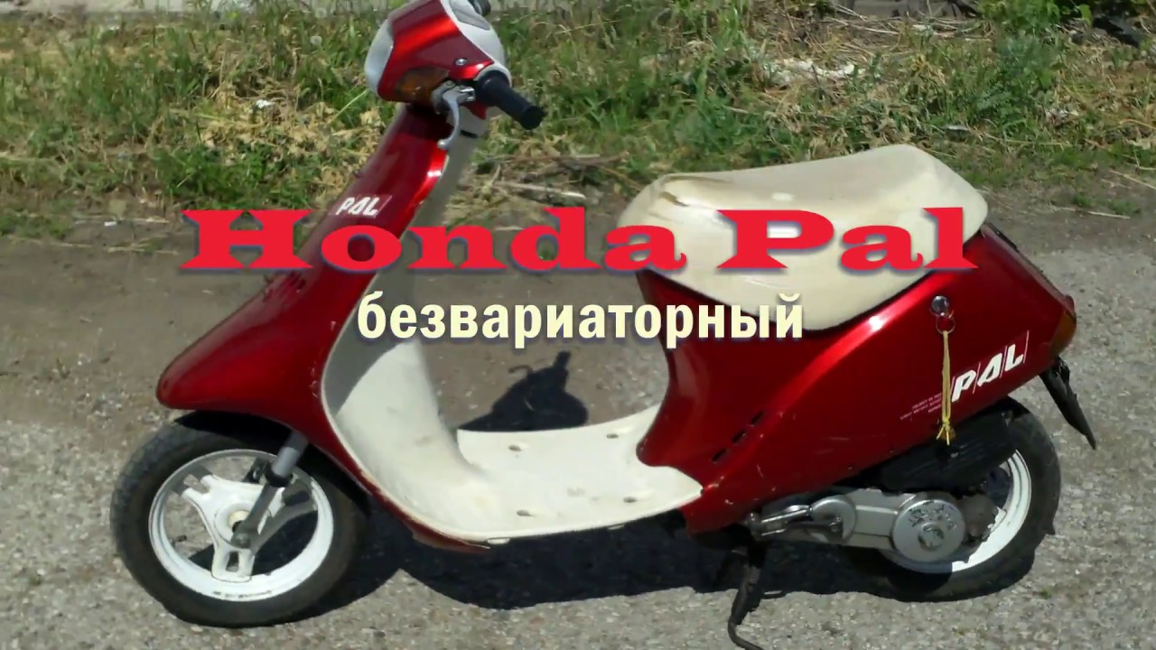 Скутер honda pal