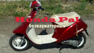 Honda Pal безвариаторный. Начало