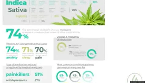 Understanding Your Endocannabinoid System [Quick G...