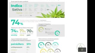 Understanding Your Endocannabinoid System [Quick Guide] Frank D'Ambrosio, MD / Green Flower