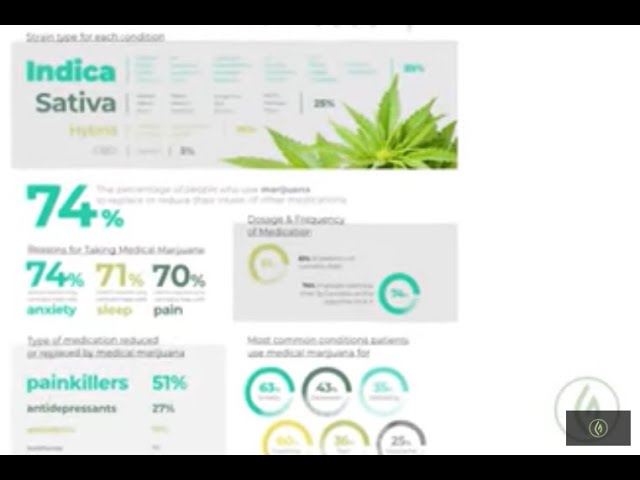 Understanding Your Endocannabinoid System [Quick Guide] Frank D'Ambrosio, MD / Green Flower