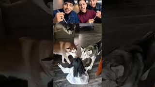 This Is So Funny L Couldnt Stop Laughing funnydoddlersofyoutubefunnysduetshortsmemes