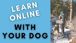 Online Dog Training Classes You & Your Dog will Love! by Summit Dog Training 461 views 3 years ago 2 minutes, 46 seconds