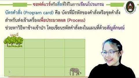 วิชาวิทยาการคำนวณ ป.1 เรื่อง โปรแกรม EP.13