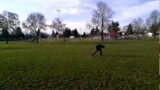 The sound of a failed attempt at a Palm Spin