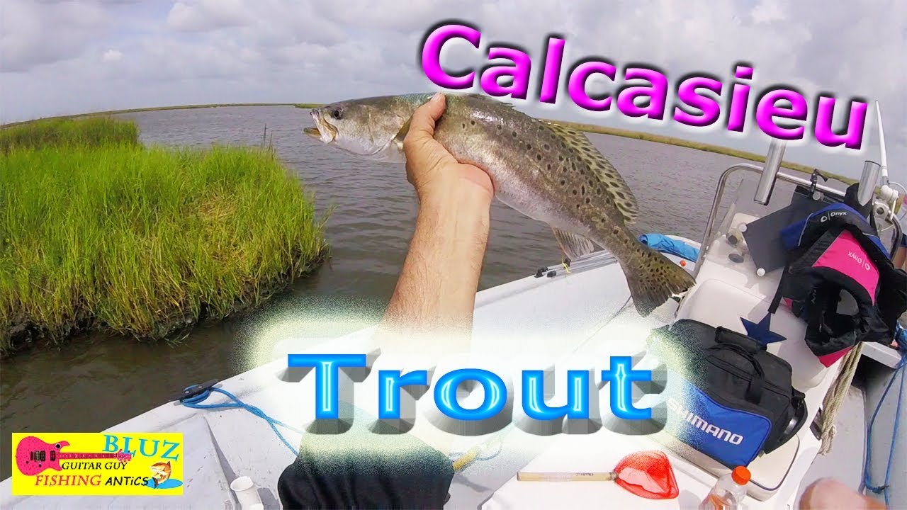 Speckled Trout Calcasieu Lake Louisiana Fishing YouTube