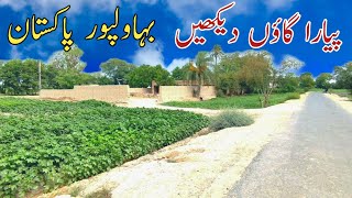 Visit Bahawalpur Village Life | pakistan village life | bike tour in  Bahawalpur Pakistan Part 2