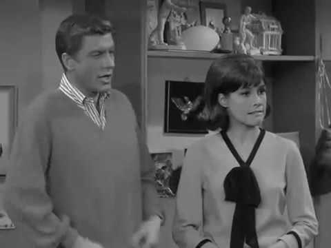 Image result for dick van dyke show