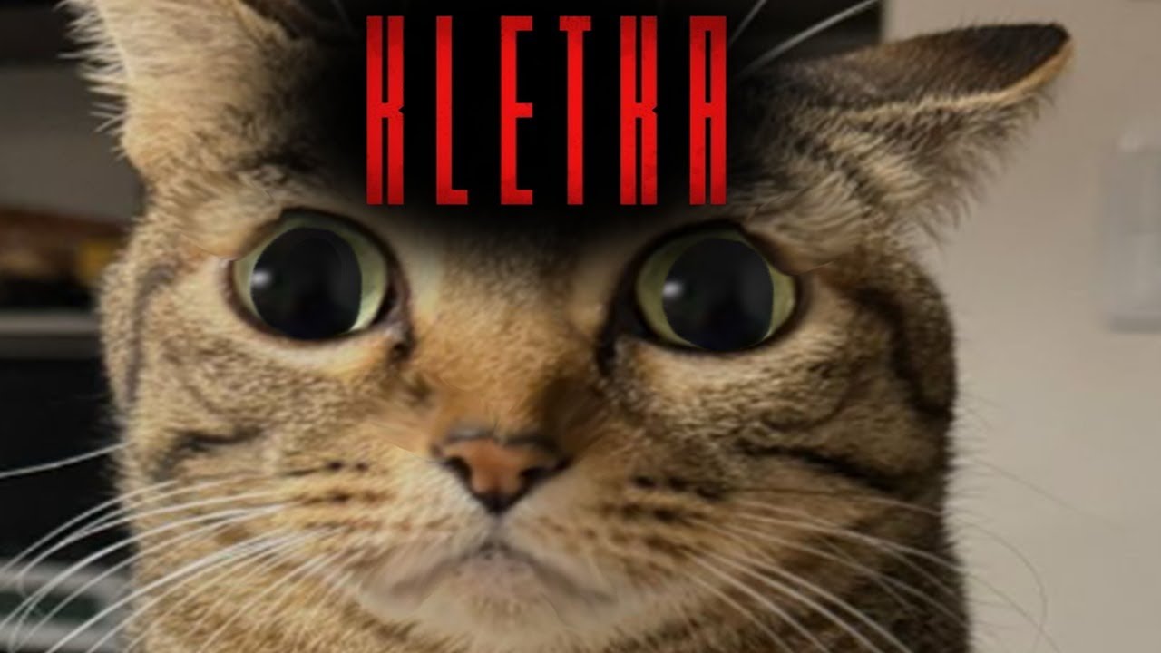 KLETKA gave us Takotsubo Cardiomyopathy | KLETKA Demo compilation #1