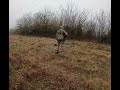 Awesome Rabbit Hunt