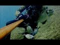Pesca Sub Sardegna- L'agguato dalla superficie   (Orate ,saraghi barracuda ,muggini)