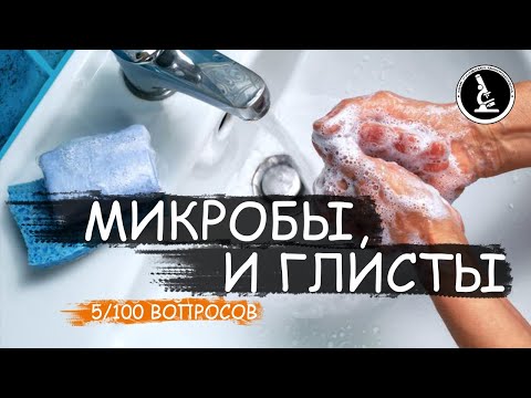 ЗАЧЕМ МЫТЬ РУКИ С МЫЛОМ? ЧТО ЕСЛИ КУШАТЬ ГРЯЗНЫМИ РУКАМИ?