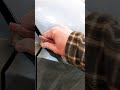 Custom Paint Stuff