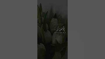 { ولا تخزني يوم يبعثون 🍃💛💚 } إسلام صبحي تلاوة هادئة 🤍🖤 #fyp #foryou #لايك #قرآن #quran #اكسبلور #حب
