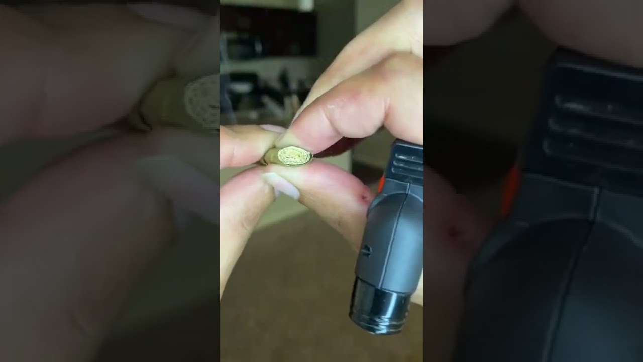 Gilly - King palm smoking