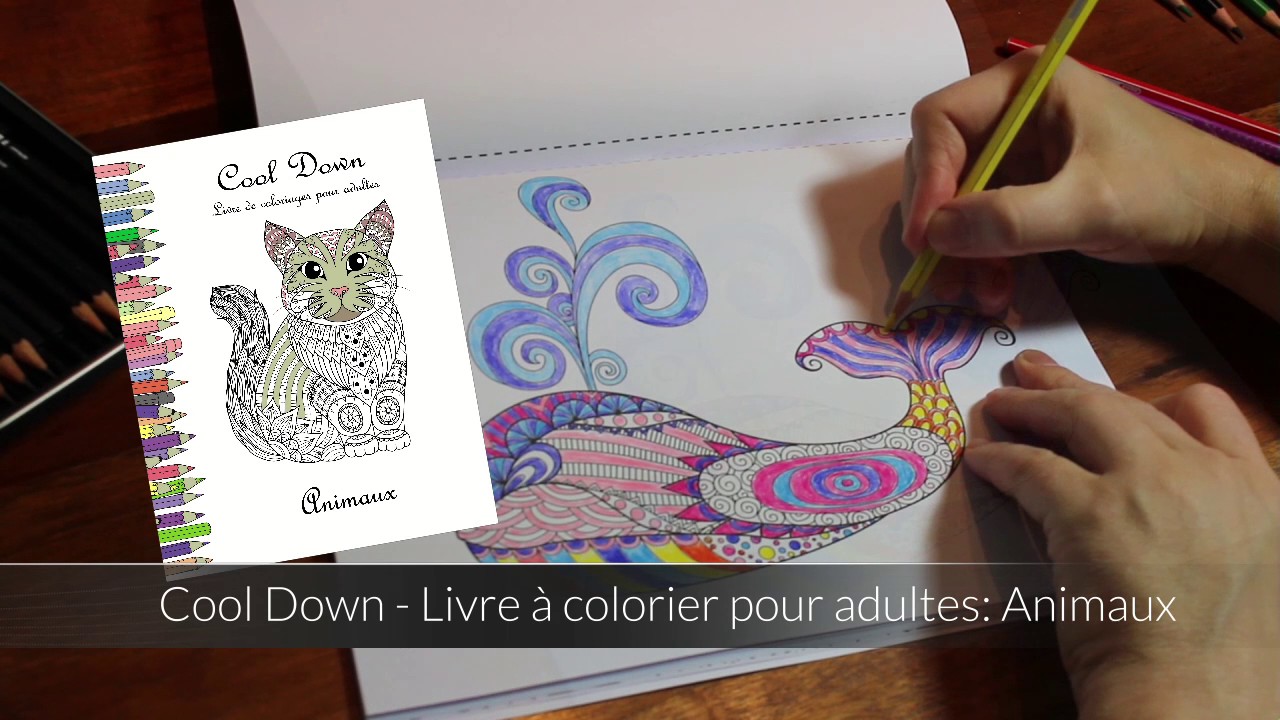 Cool Down Livre   colorier pour adultes Animaux