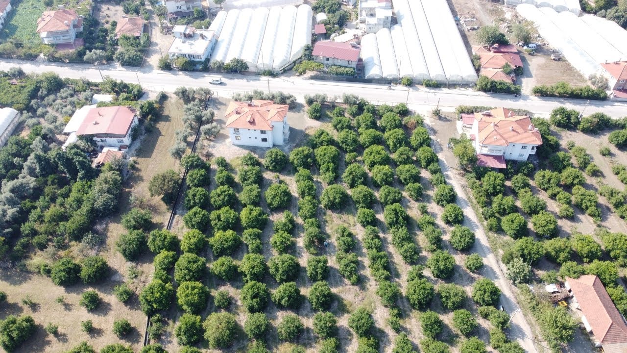 Limon Bahçesi içerisinde Gizli Arsa[] Muğla Ortaca Satılık 2 dönüm arsa