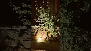 #nature #turkey #goodnight #gutenacht #iyigeceler