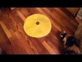 Cats meow electronic cat toy     part 1