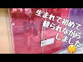 【検証】スケスケの公衆トイレ⁉️用を済まして確かめてやる❤️💛