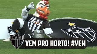 Momento Galo Doido (26-07-2018)