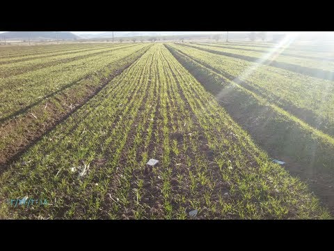 تصویری: چگونه می توانیم کشاورزی دام را بهبود بخشیم؟