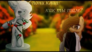 пони клип -[как ты там?]- (канон)