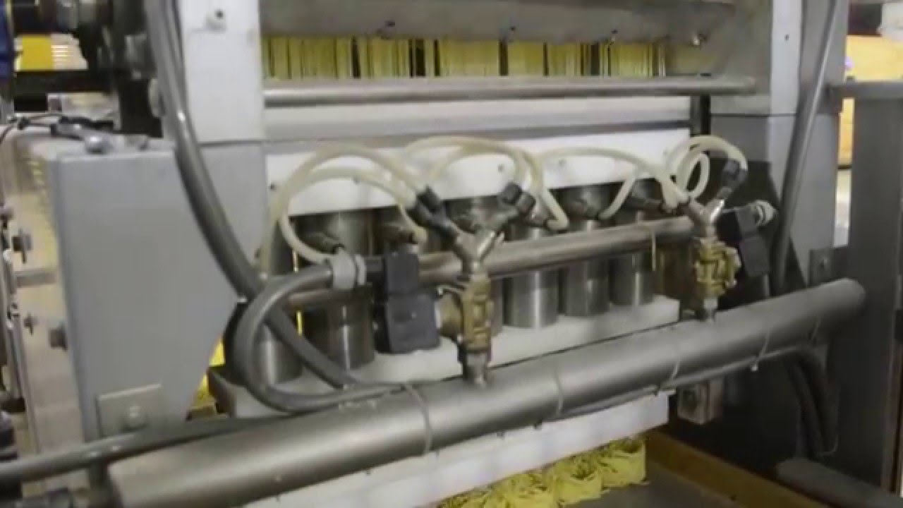 Dry Pasta Manufacturing Business for sale YouTube