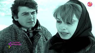 Sevim Şengül - Artık Sevmeyeceğim (1968)