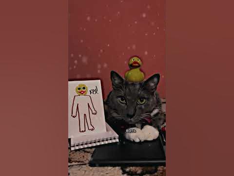 рисунки (оригинал-@kotiynet) - YouTube