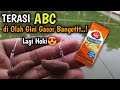 Edaannn  umpan terasi abc paling gacor sendiri di kolam harian bawal