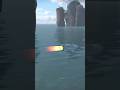 Seaplane launched Two missiles 🫡🫡  #modernwarships #gaming #shorts