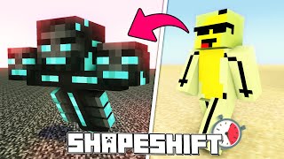 Minecraft, But I can Shapeshift Every Minute...