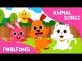 Baby Animals | Animal Songs | Pinkfong Songs for Children