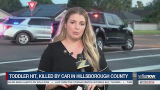 Deputies give update after toddler hit, killed by car in Hillsborough County