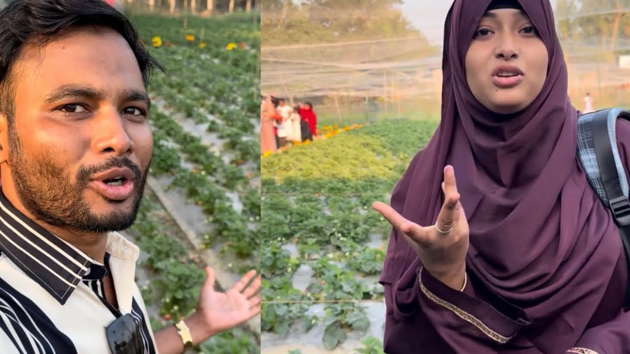 জীবনে প্রথম আপনাদের ভাইকে নিয়ে গ্রামের স্ট্রবেরী বাগানে।Mohammad Alam Hasan