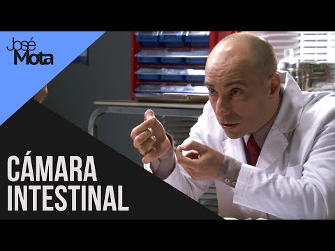 Cámara intestinal | José Mota