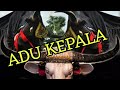 ADU KEPALA || BANTENGAN #bantengan #bantenganngamuk #adukepala #bantengmalang #bantengnusantara