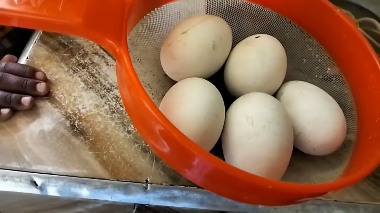 26 فبراير 2026