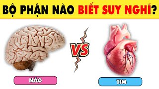 100% Ai Cũng Có Tim Nhưng Chỉ 5% Biết Sự Thật Bất Ngờ Qua 15 Câu Đố Này | Nhanh Trí Why