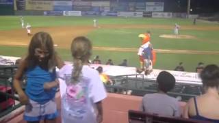 The chicken dance @the ball game