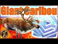 Giant max weight diamond caribou on a yukon valley multiplayer hunt